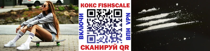 COCAIN FishScale  Купить закладки  Бийск 