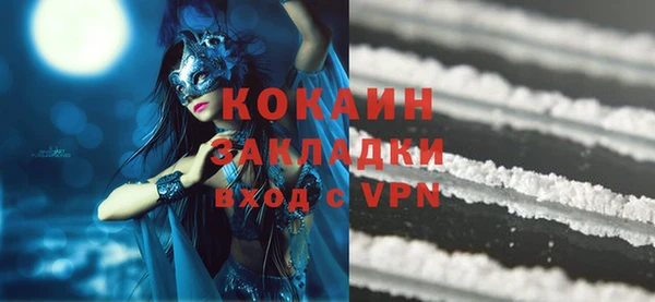 стаф Козельск