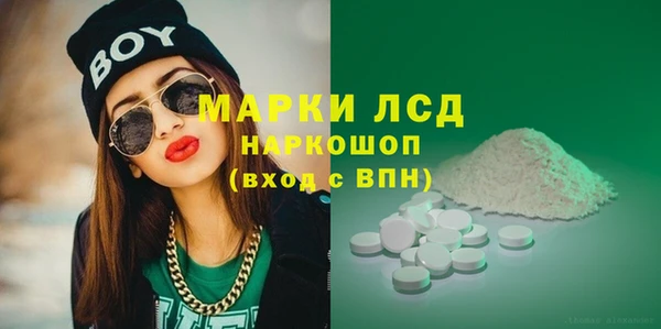 стаф Козельск