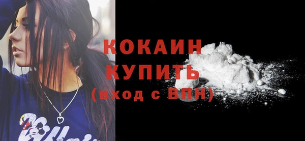 стаф Козельск