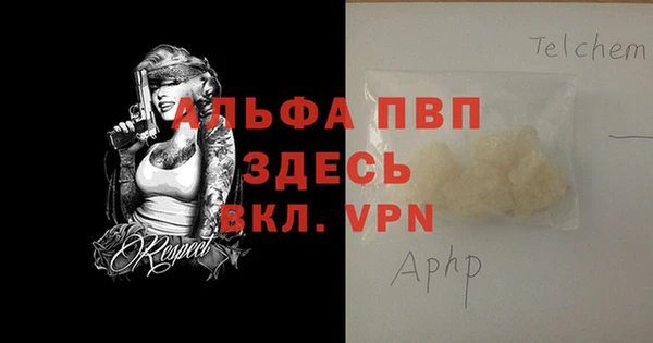 стаф Козельск