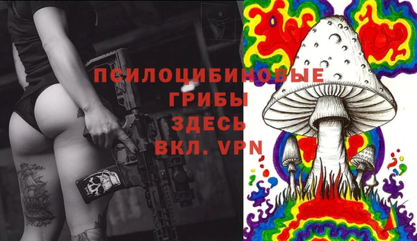 2c-b Кодинск