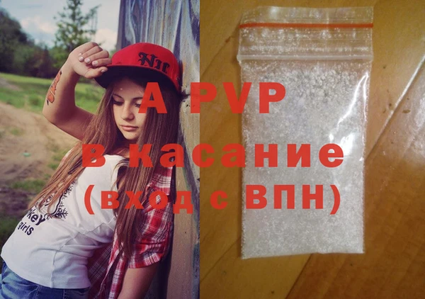 стаф Козельск