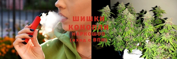 стаф Козельск